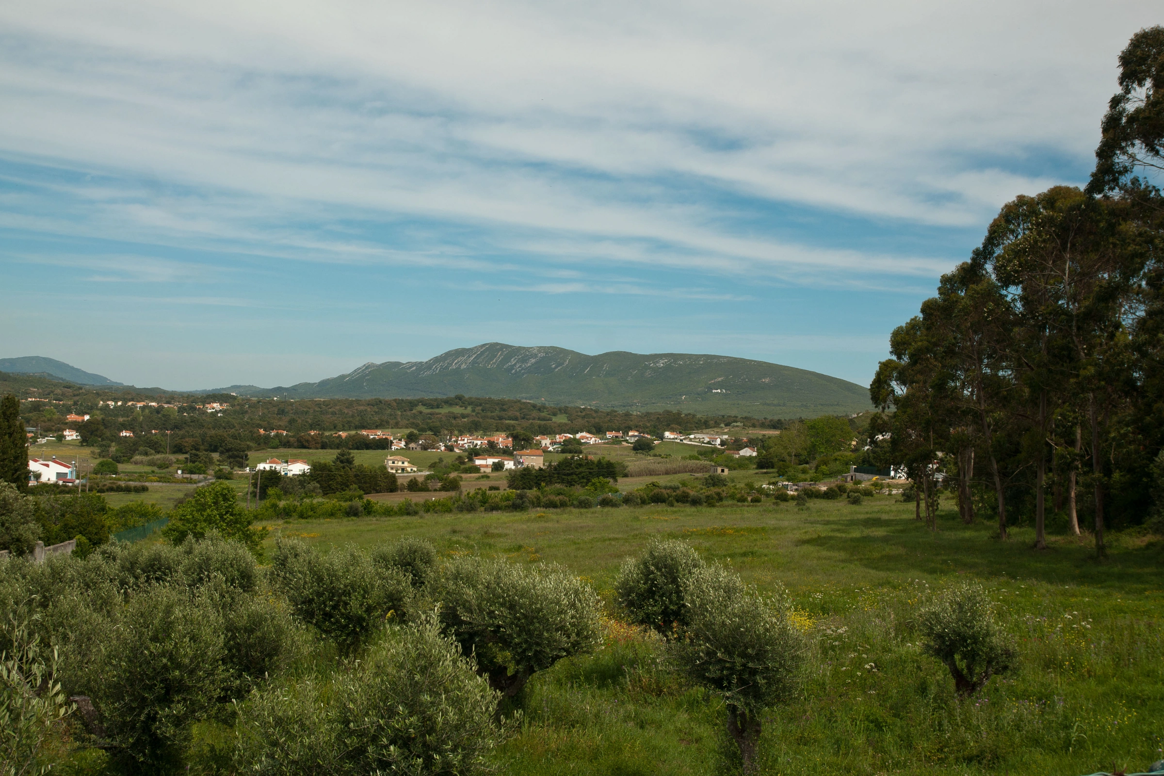 Arrábida_Natural_Park[1].webp